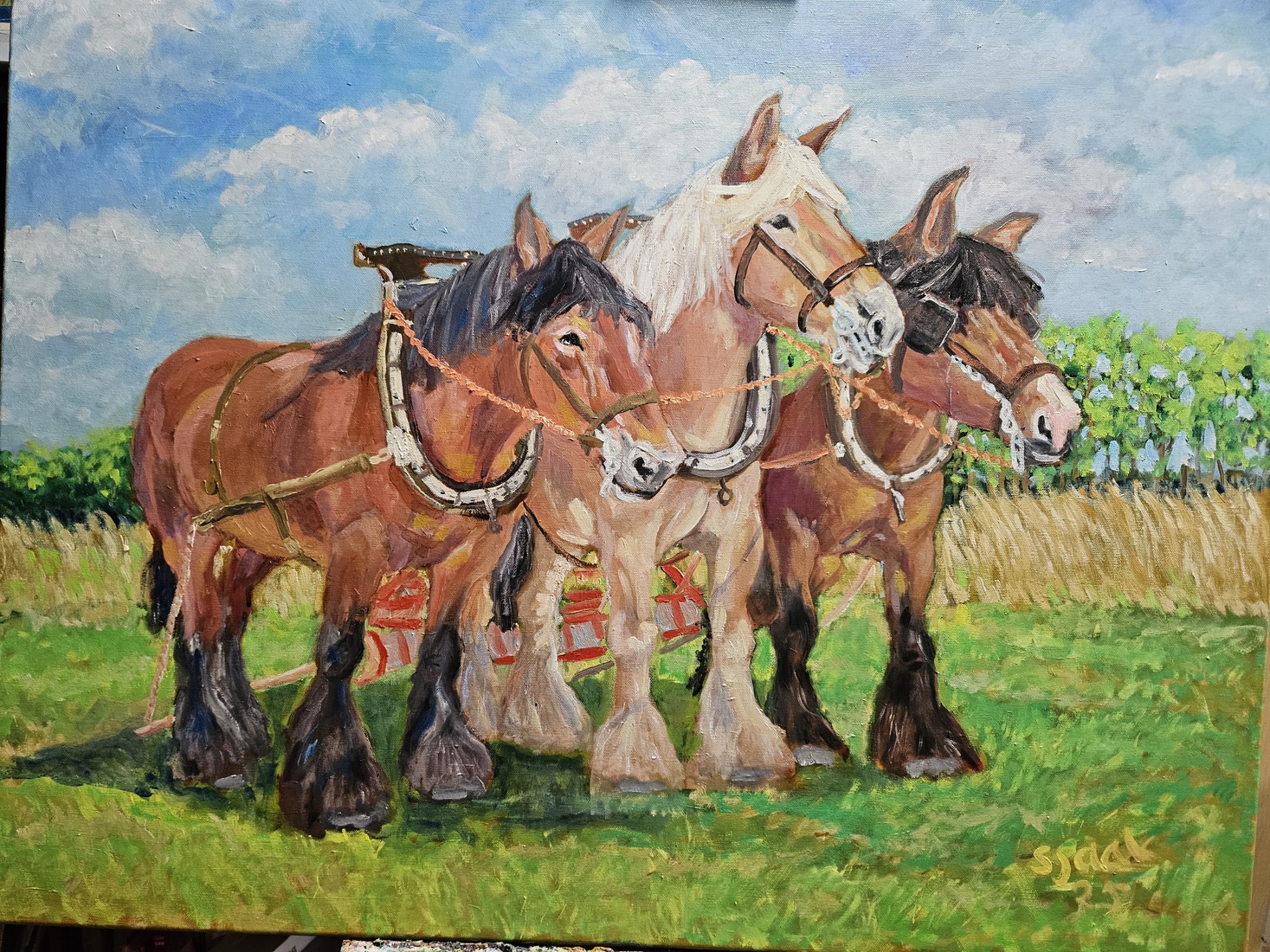 Drie Belgische trekpaarden