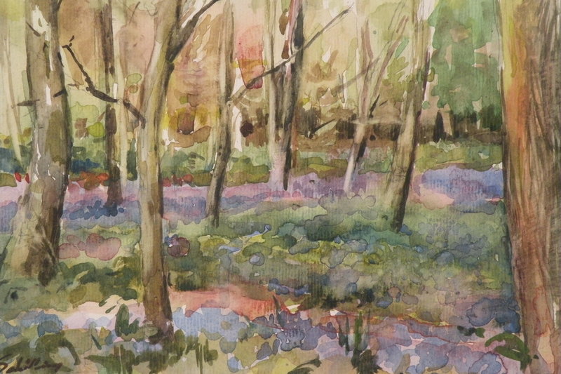 bosgezicht met hyacinthen