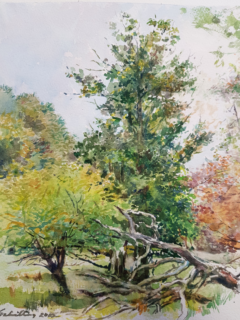 Waterleidingduinen 2