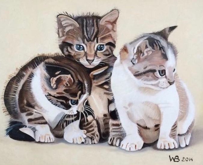 Drie kittens