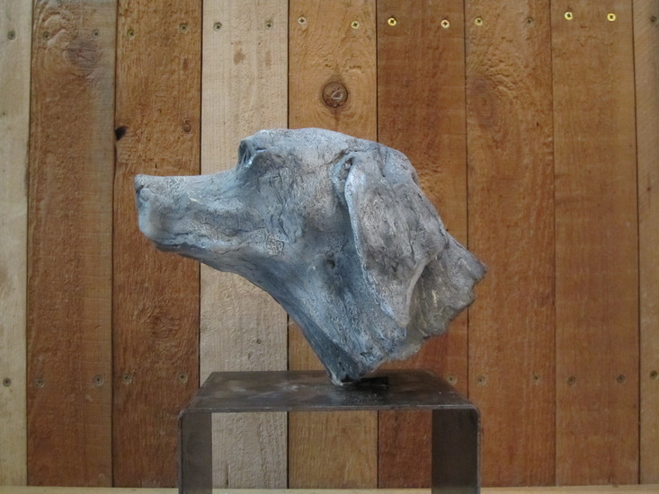 Portret Alexia, dalmatiër