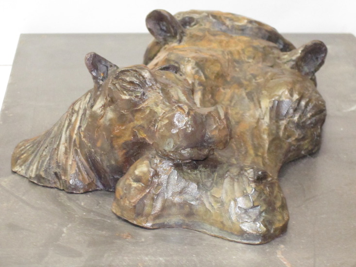 Nijlpaardmoeder met kind