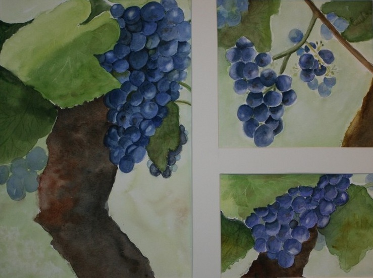 hommage des grappes