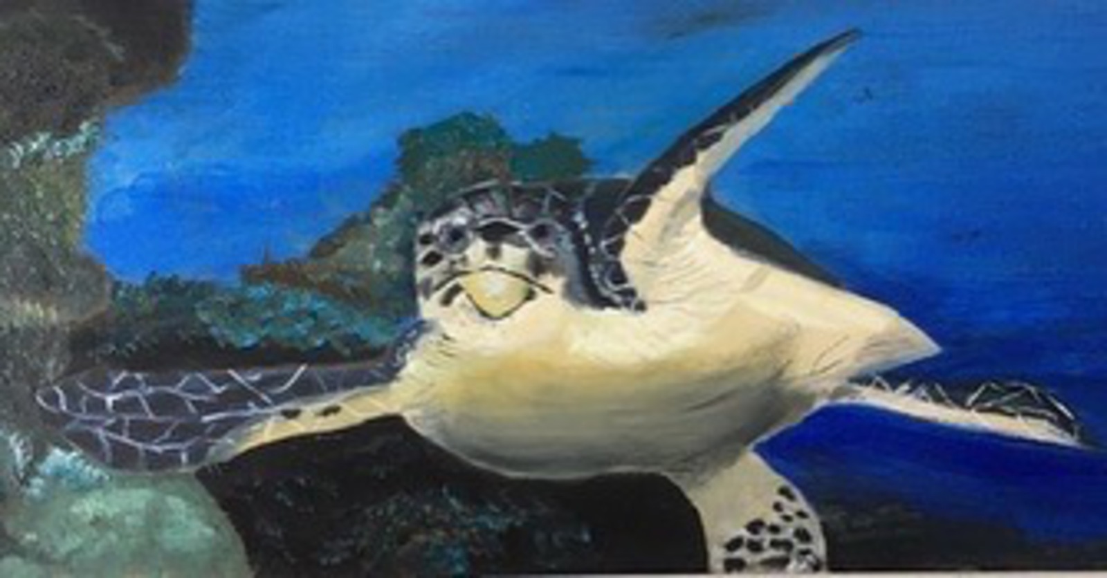 Schildpad in de oceaan