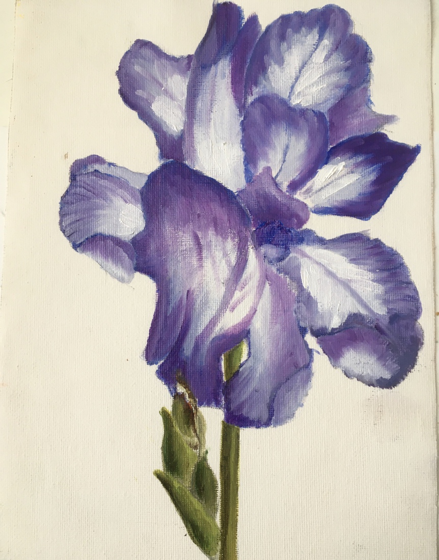 Iris
