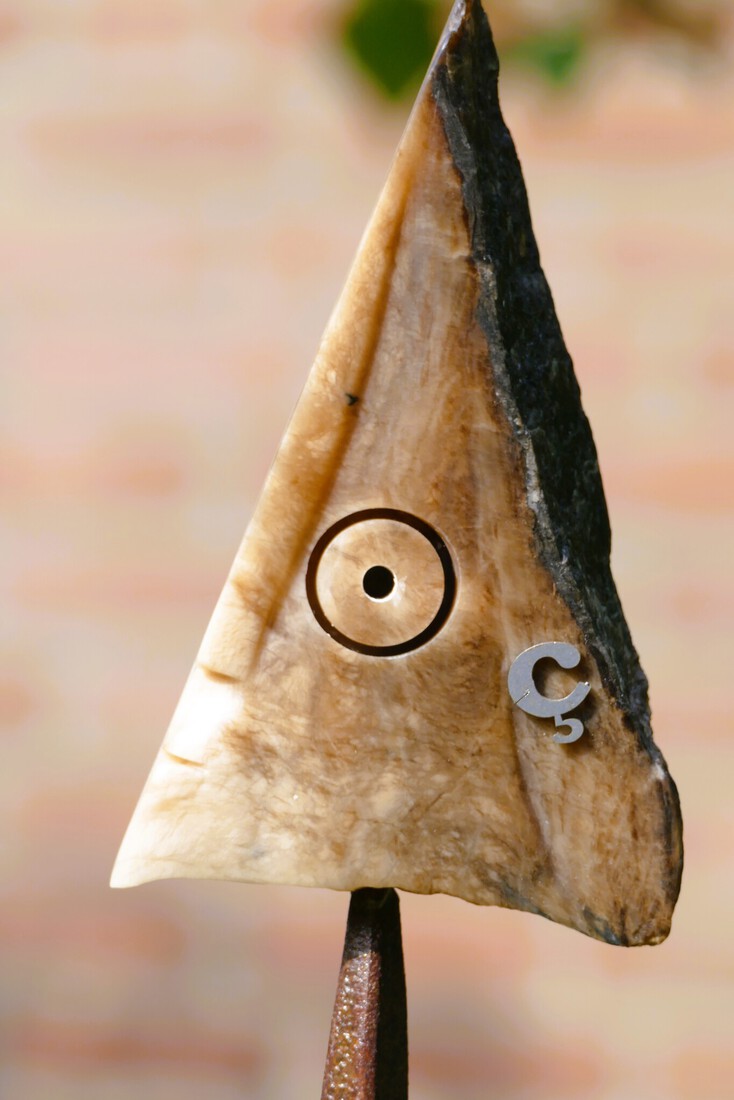 La Cedille  (ut Franse viëfke)