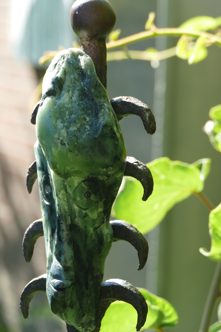 Tête grise/verte