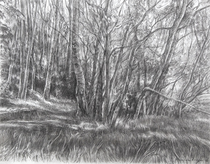 Schouwen Duiveland 4