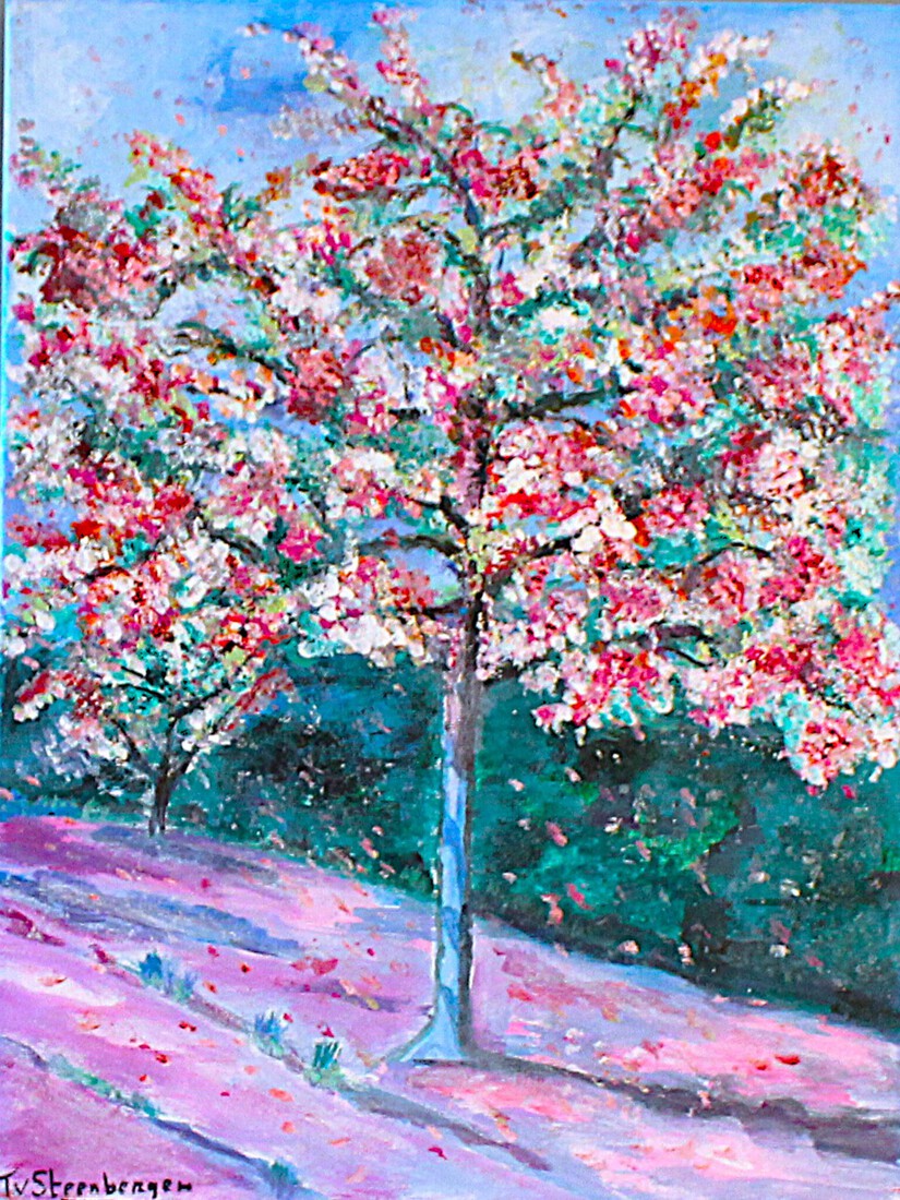 Bloesemboom