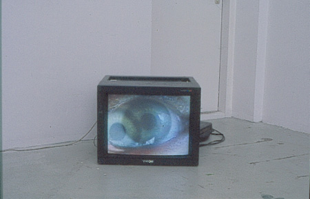 shows Projectruimte noord Rijksacademie 1997