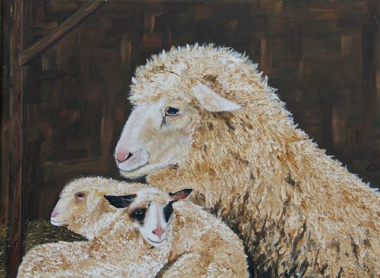 Schaap met twee lammetjes