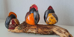Diverse soorten fantasie 'vogels'.