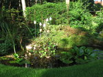 Diverse tuin objecten