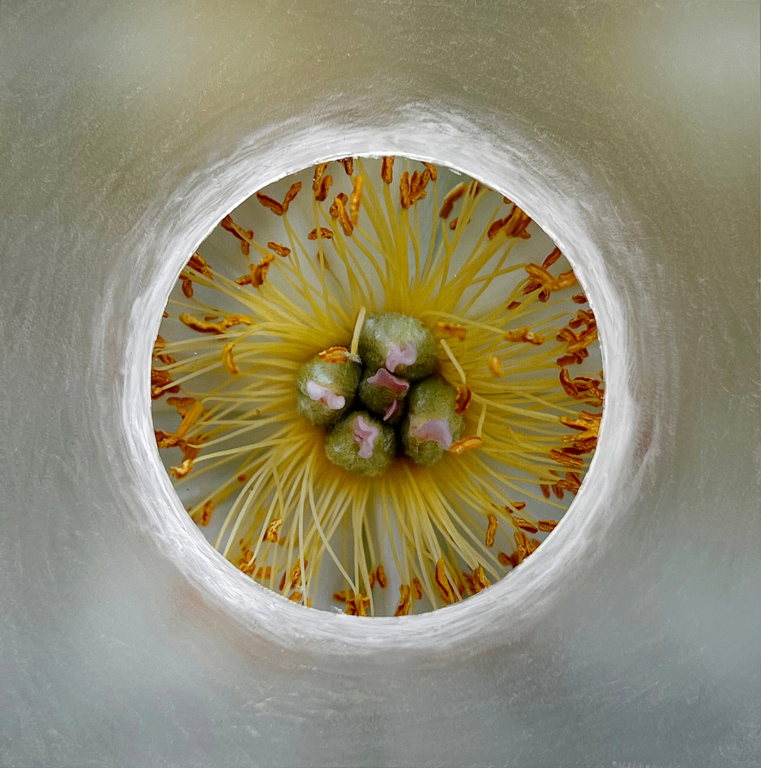 Circle of Life > Bloemenhart #2