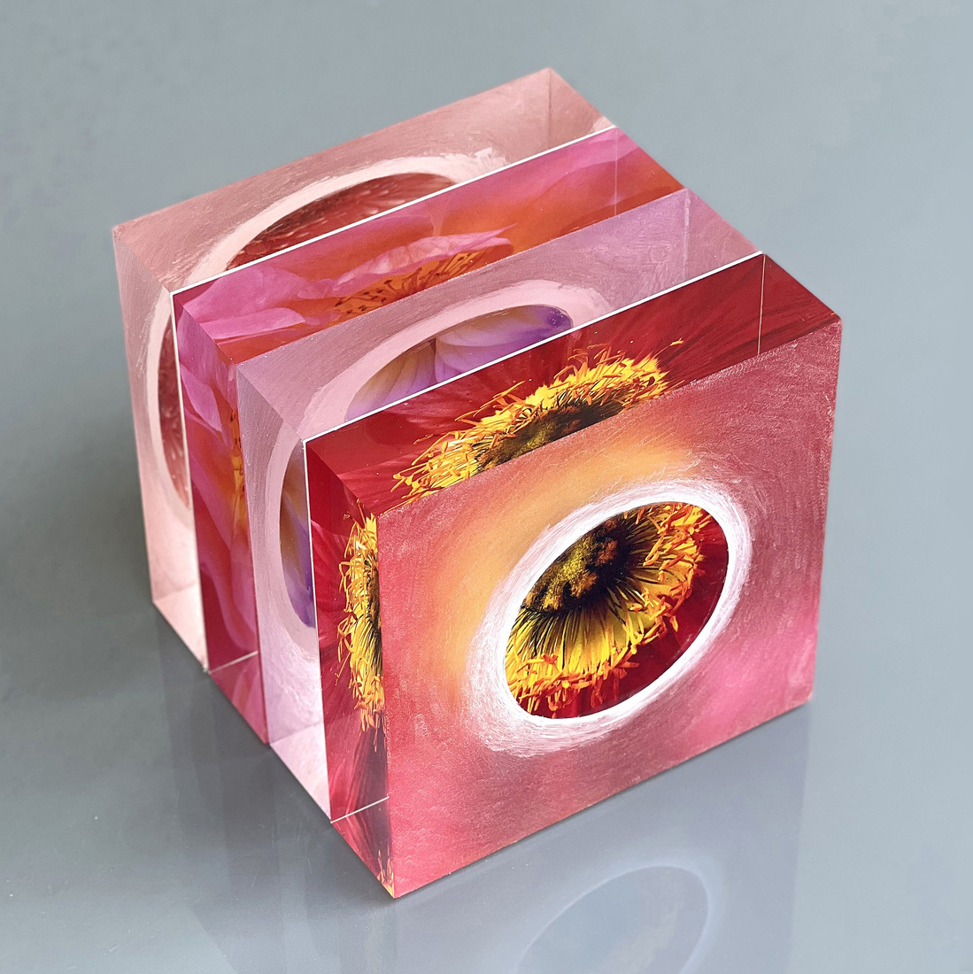 Circle of Life / Klimaatkubus