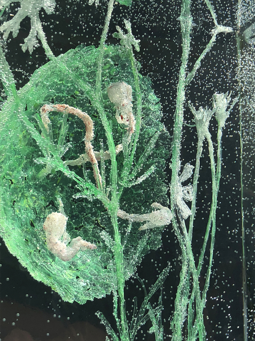 Seas of Heaven - birth