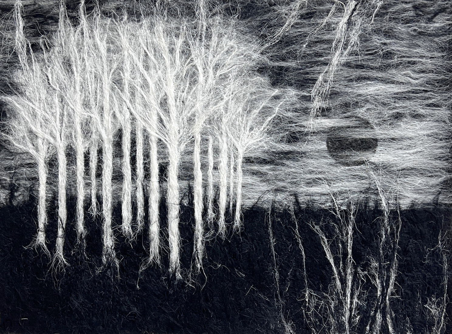 Night Falls over White Forest