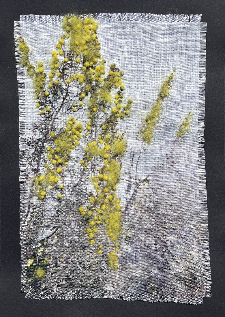 Pollen II