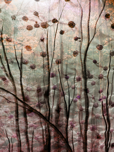 Een nieuw thema in mijn autonome werk. 'Reis naar binnen' is ontstaan naar aanleiding van het boek over zen en balans dat ik samen met co-auteur Arno van Haren maak. Het boek verschijnt januari 2024, online en in de boekhandel.