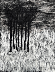 Na de dood van mijn moeder is kunst een toevluchtsoord van troost. Doorgaans werk ik met koele, wat afstandelijke materialen, zoals medicijnen, (bio)plastics of gips. Of ik gebruik digitale technieken. Nu wilde ik warmte voelen, zachtheid. Terug naar de oorsprong. Dus ik ben gaan vilten. Kleine schetsen, in zwart-wit, groot contrast. Met wol, vlas, en het ultrazachte zijde.