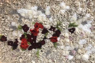 Bloom, not existing