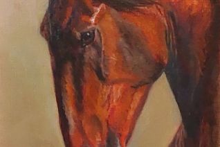 Lusitano