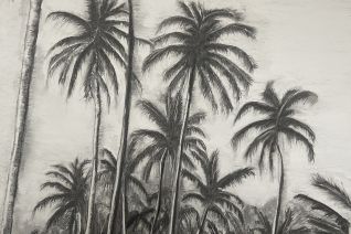 Palm trees