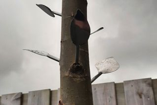 Grow of metal Leaves op Wilg