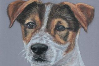 Jack Russel