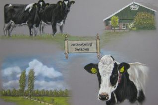 Melkveebedrijf Heitkonig