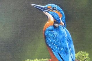 IJsvogel