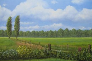 Uitzicht op de Kerveldijk