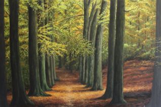 Bospad op de Veluwezoom