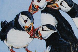 atlant. puffins 4