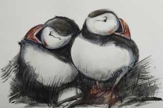 puffins 1