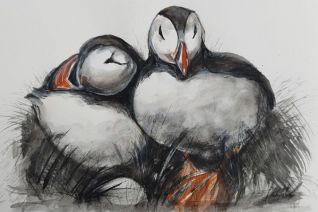 puffins 2