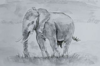 olifant 2