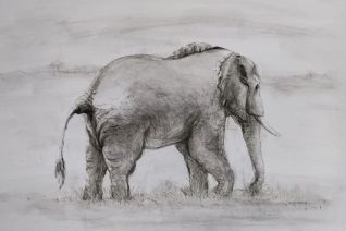 olifant 1