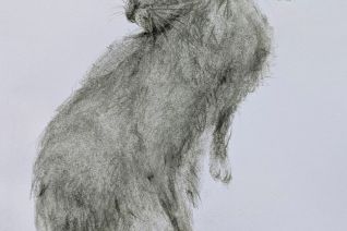 hare 3