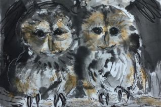 Twee jonge uilen ( verkocht)