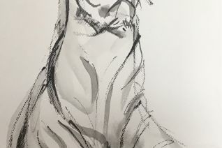 Tijger, Tiger 