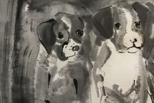 Boxerpups 