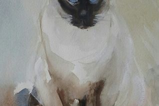 Siamese kat, Cloë,aquarel,