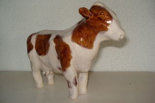 Koe/ kalfje