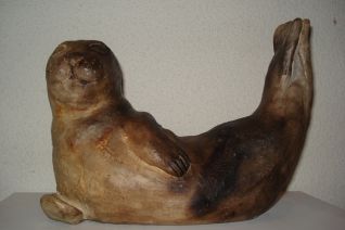 Zeehond 1