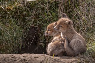 Yust the two of us . . .