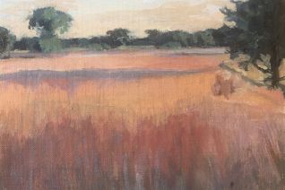 Hooiland bij de Groene Jager