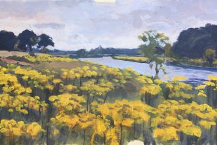 Kruiskruid langs de Vecht.