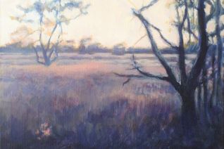 Het Beerzerveld bij avond.