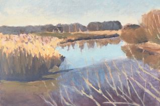 Rietkraag langs de Regge 2